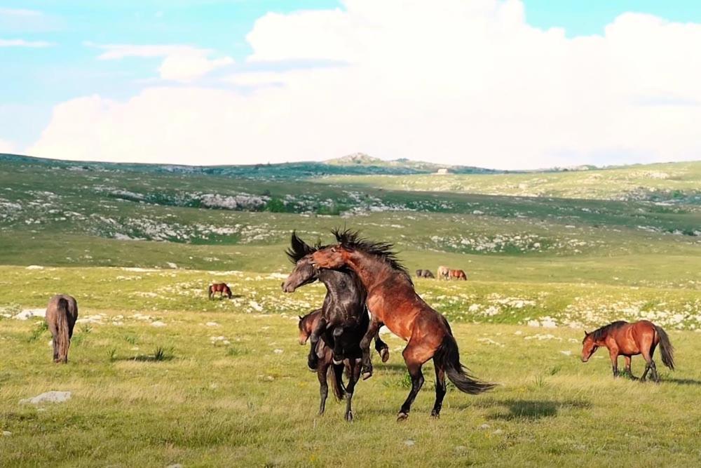 Apartmani Kaic Livno Exteriér fotografie